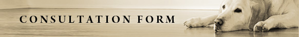 Consultation Form